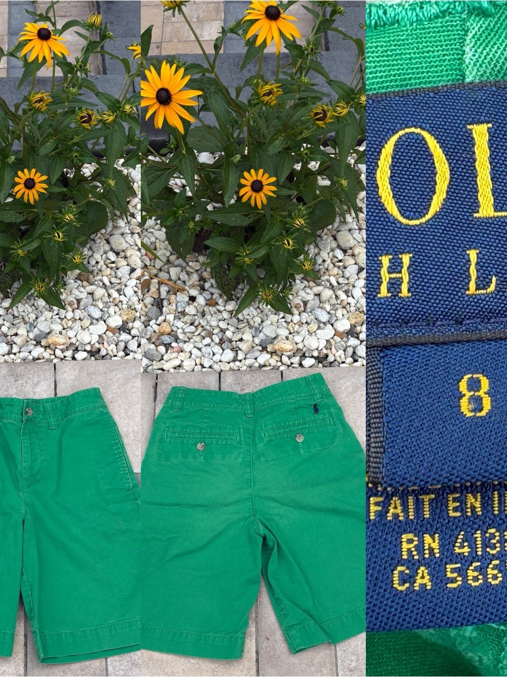 Polo by Ralph Lauren Green Shorts with Navy Label